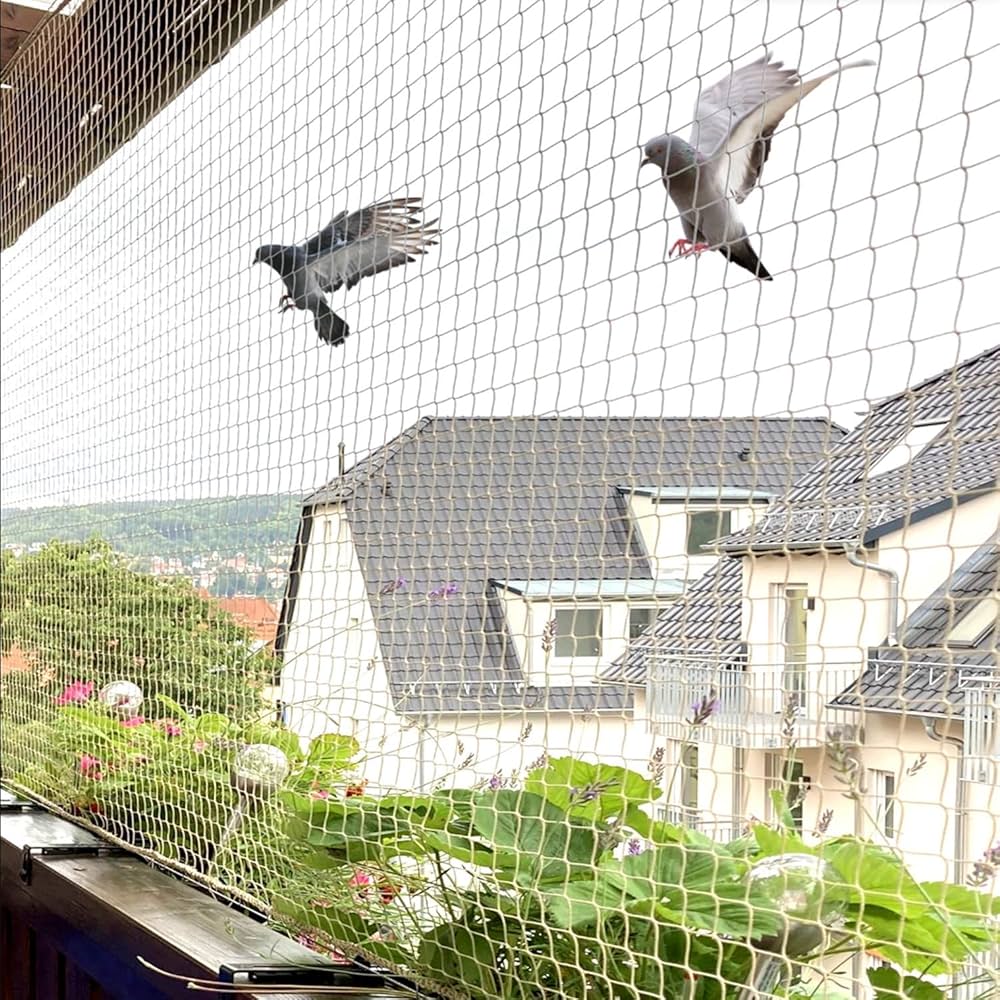 Pigeon Safety Nets Installation